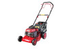 Gasoline Lawn Mower Self-propelled 2kW 2.4hp 1200m2 RD-GLM07 thumbnail