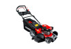 Gasoline Lawn Mower Self-propelled 2.5kW 3.4hp 4in1 RD-GLM08 thumbnail