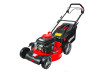 Gasoline Lawn Mower Self-propelled 4in1 3800m2 RD-GLM23 thumbnail