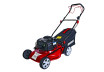 Косачка бенз. самоход B&S 125cc 1.7kW 46cm 60L 4в1 RAIDER RD-GLM05W thumbnail