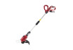 R20 Trimmer gazon 260mm&nbsp; 90-120cm 2Ah Set RDP-SGT20 thumbnail