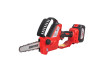 R20 Cordless Chain Saw 150mm SDS 36 Oil 4Ah RDP-CCS20 thumbnail