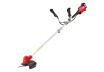 R20 Brushless Cordless Brush Cutter Detachable 4Ah RDP-BBC20 thumbnail