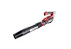 R20 Cordless Blower144km/h 570m3/h varia. speedSolo RDP-BL20 thumbnail