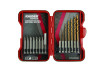 Screwdriver Bits & Drill Bits 1/4" 15 pcs. Set RAIDER thumbnail