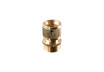 Conector &frac34;&rdquo; alama filet exterior TG thumbnail