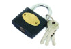 Iron pad lock 38mm TS thumbnail