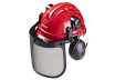 Safety helmet, steel mesh and earmuff RD thumbnail