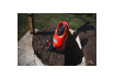 Submersible Pump&nbsp; 900W 1" 250L/min 8,5m 35mm RD-WP68 thumbnail