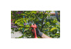 R20 Cordless Brushless Pruning Shears 30mm Solo RDP-SPSH20 thumbnail