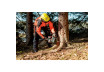 MS 36-18 LTX BL 40 Cordless chain saw thumbnail