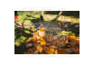 Leaf Rake CLASSIC GX thumbnail