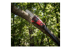 R20 Cordless Pole saw & Hedge Trimmer 2in1 2Ah 3m RDP-PSHT20 thumbnail