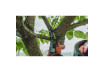 R20 Cordless Garden Pruner 120mm 1/4".043" Solo RDP-YGP20 thumbnail