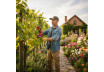 R20 Brushless Cordless Pruning Shears 25mm Solo RDP-BPSH20 thumbnail