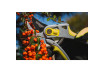 Bypass Pruning Shears VINE GX thumbnail