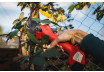Cordless BL Pruning Shears 16V 2x2Ah 25mm Case RD-PSH02 thumbnail