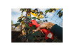 Cordless BL Pruning Shears 16V 2x2Ah 25mm Case RD-PSH02 thumbnail