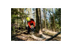 MS 36-18 LTX BL 40 Cordless chain saw thumbnail