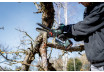 MS 18 LTX 15 Cordless pruning saw TV00 thumbnail