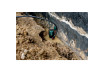Pompă submersibilă pentru ape uzate SP 120-35 S thumbnail