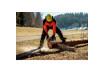 MS 36-18 LTX BL 40 Cordless chain saw thumbnail