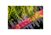 HS 18 LTX 55 * Cordless Hedge Trimmer thumbnail