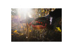 R20 Cordless Garden Pruner 120mm 1/4".043" Solo RDP-YGP20 thumbnail