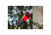 R20 Cordless Pole saw 200mm SDS 3/8"1.3mm 33 2Ah 3m RDP-PS20 thumbnail