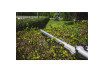 R20 Brushless Cordless Brush Cutter 40V 4in1 RDP-BCPSHT20 thumbnail