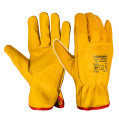 product-universal-gloves-pg06-tmp-thumb