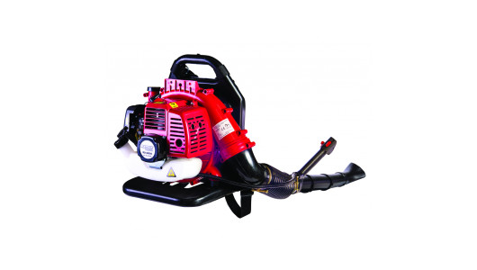 Suflanta pe benzina tip rucsac 43cc 1.25kw RD-GB06 image