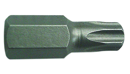 Накрайник TORX 10mm T25 L30mm Topmaster Professional image