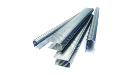 Flat staples 12mm type 36/ 1000pcs box TMP image