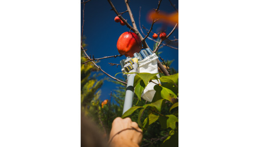 Fruit picker SMART CONNECT GX image