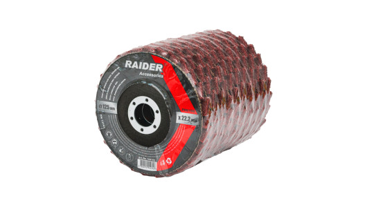 BBL Non-woven Flap Disc 125mm medium Red image