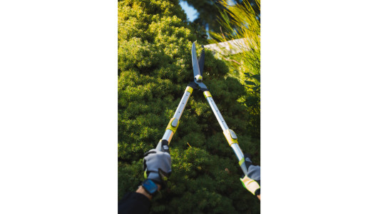 Hedge shears HS01 with telescopic handles GX image