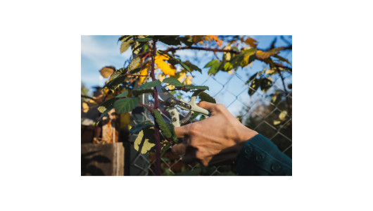 Shears MINI GX image