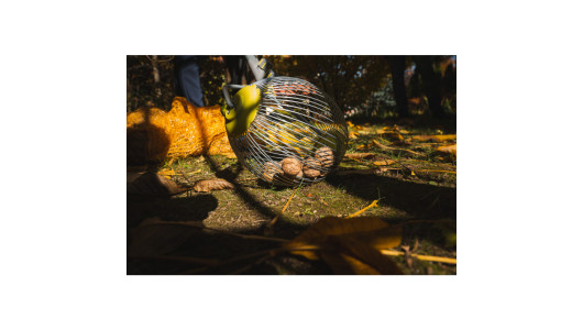 Fruit collector SMART CONNECT GX image