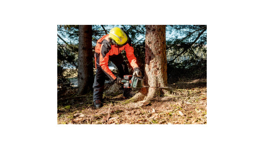 MS 36-18 LTX BL 40 Cordless chain saw image