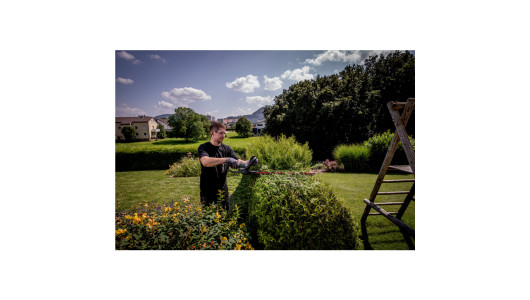 HS 18 LTX 55 * Cordless Hedge Trimmer image