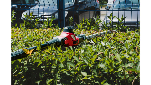 R20 Cordless Pole saw & Hedge Trimmer 2in1 2Ah 3m RDP-PSHT20 image