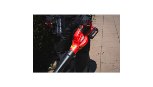 R20 Cordless Blower 180km/h 5m3/min Solo RDP-YBL20 image