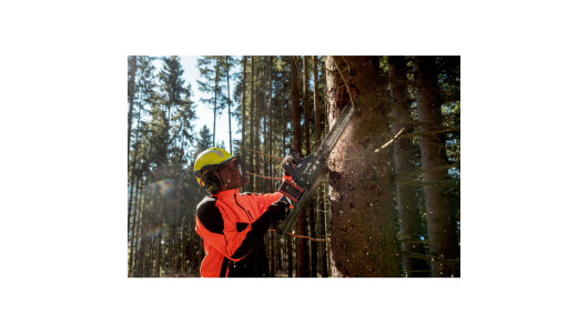 MS 36-18 LTX BL 40 Cordless chain saw image