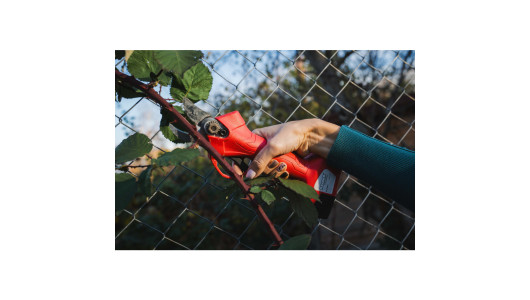 Cordless BL Pruning Shears 16V 2x2Ah 25mm Case RD-PSH02 image