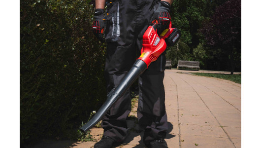 R20 Cordless Blower 180km/h 5m3/min Solo RDP-YBL20 image