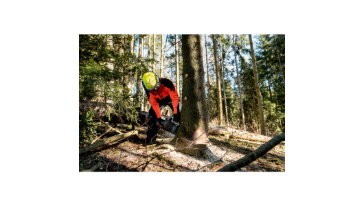 MS 36-18 LTX BL 40 Cordless chain saw image