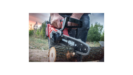 Ferăstrău cu lanț fără perii 255mm SDS 4Ah 20V RDI-BCCS32 image