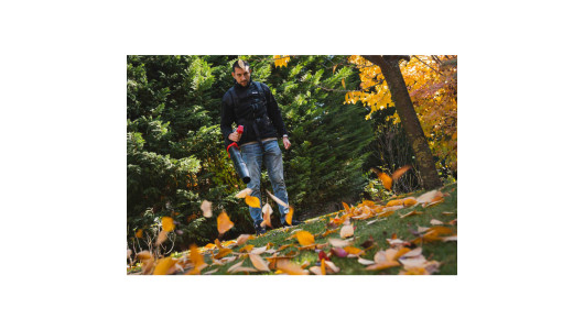 R20 Brushless Blower 40V 252km/h 4sp.+turbo Solo RDP-BBL20 image