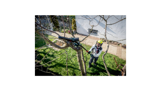 MS 18 LTX 15 Cordless pruning saw TV00 image